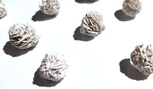 Load image into Gallery viewer, Desert Rose Selenite - Florida Sol Crystal Co