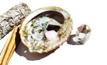 Load image into Gallery viewer, Abalone Shell - Florida Sol Crystal Co
