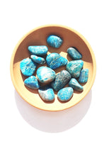 Load image into Gallery viewer, Blue Apatite Tumble - Florida Sol Crystal Co
