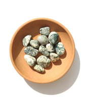 Load image into Gallery viewer, Moss Agate Tumble - Florida Sol Crystal Co
