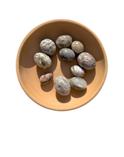 Load image into Gallery viewer, Thousand Layer 'Lodolite Quartz' Tumble - Florida Sol Crystal Co
