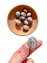 Load image into Gallery viewer, Thousand Layer 'Lodolite Quartz' Tumble - Florida Sol Crystal Co
